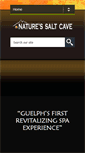 Mobile Screenshot of naturessaltcave.com