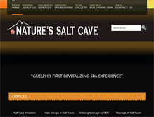 Tablet Screenshot of naturessaltcave.com